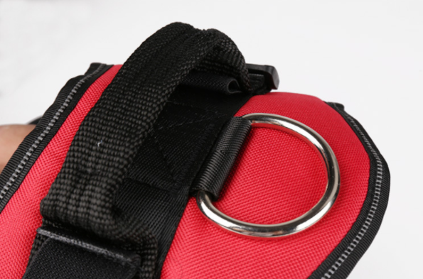 Dog Harness Image 4