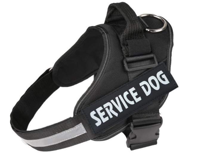 Dog Harness Image 6