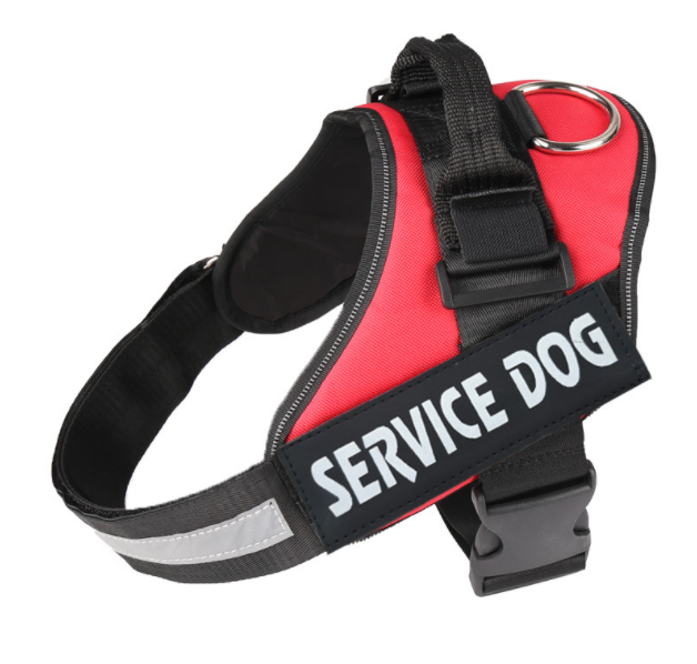 Dog Harness Image 7