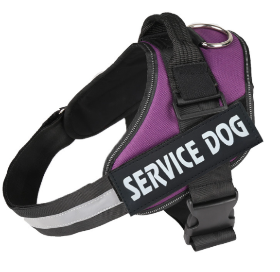Dog Harness Image 9
