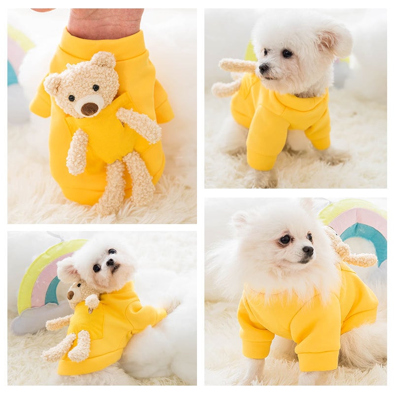 Stylish Pet Outfit