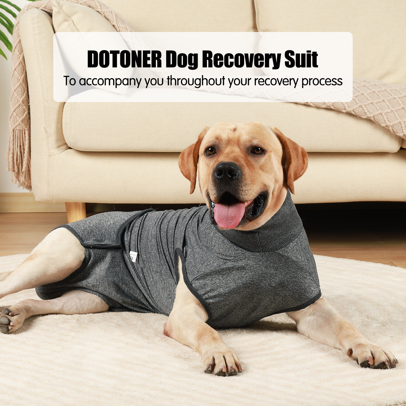 Stylish Pet Dog Clothing