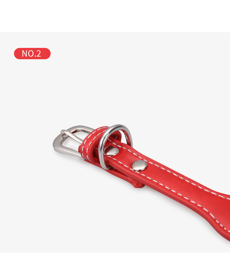 Durable Pet Collar