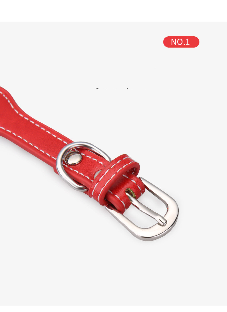 Bone Shape Pet Collar