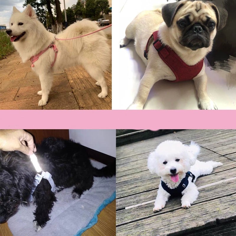 Lightweight Reflective Dog Traction Rope