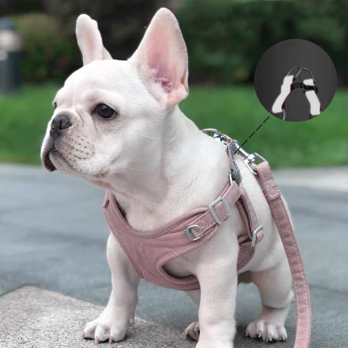 Lightweight Reflective Dog Traction Rope