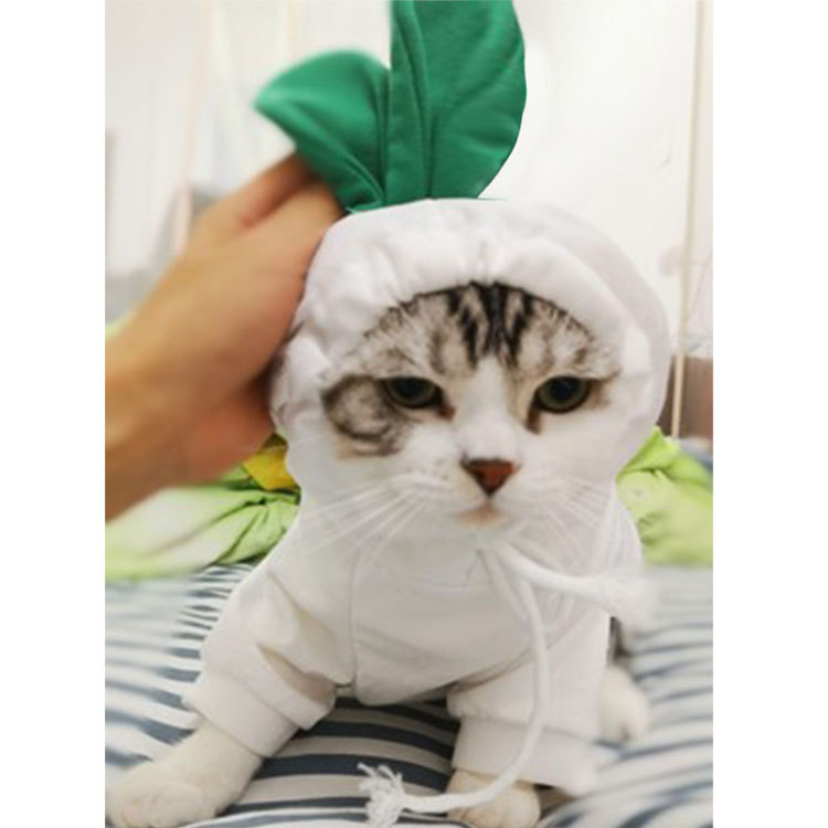 Hooded Sweater Design 8