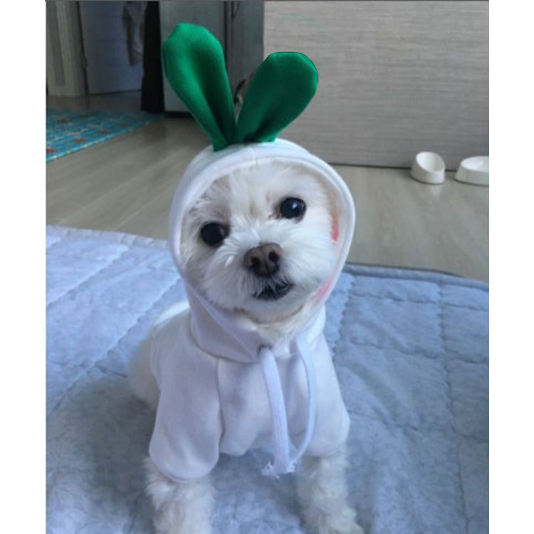 Hooded Sweater Design 10