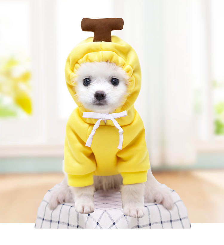 Hooded Sweater Design 6
