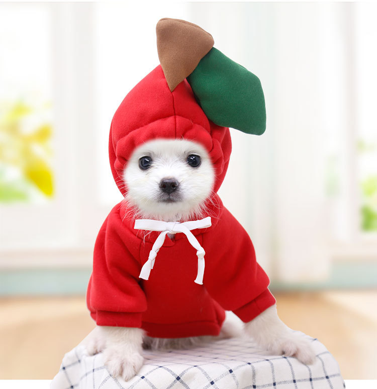 Hooded Sweater Design 13