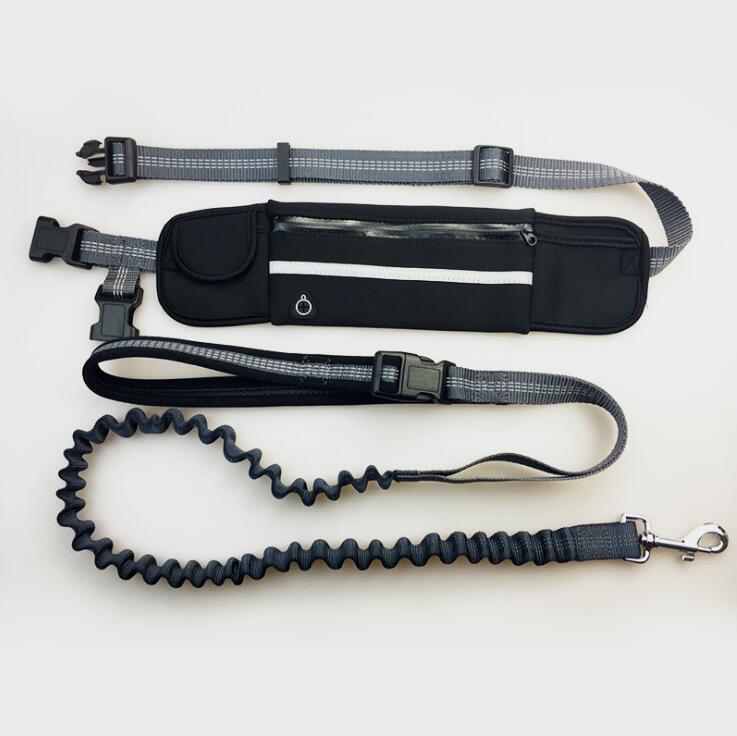 Dog Running Leash with Pocket
