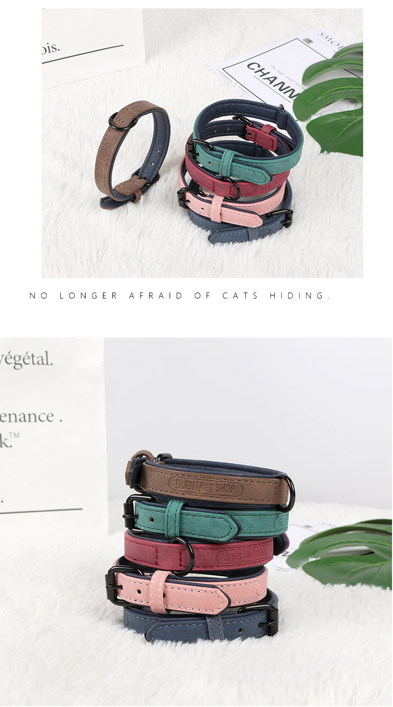 Pet Collar Image 10