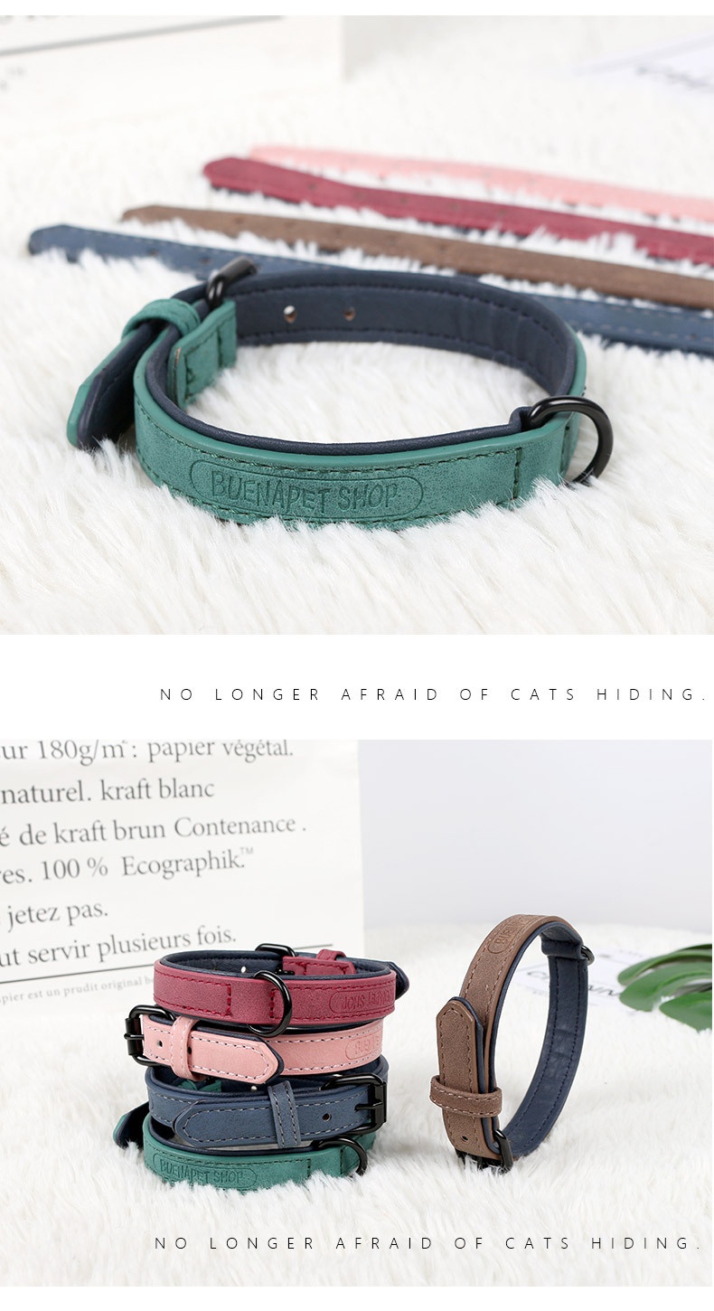 Pet Collar Image 5