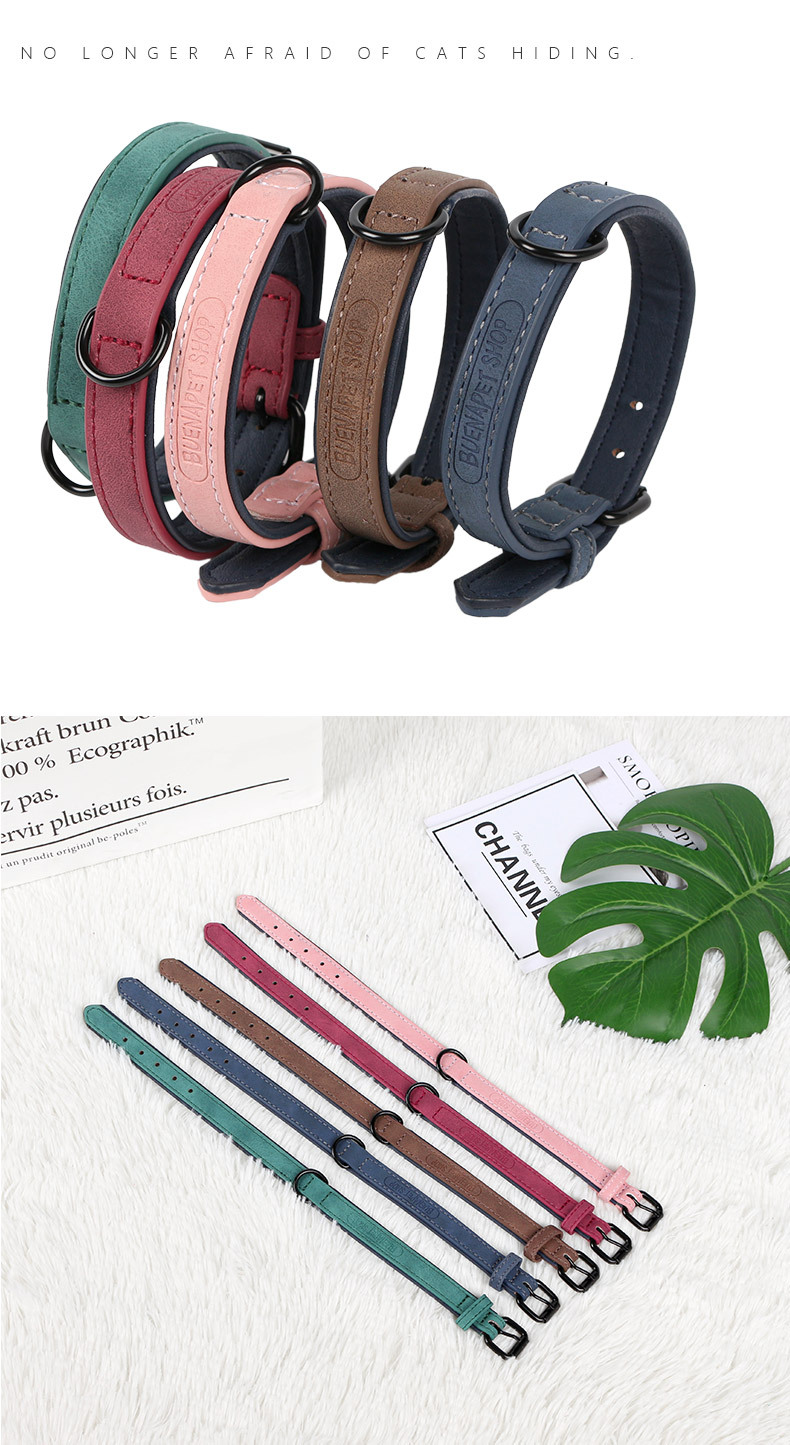 Pet Collar Image 9