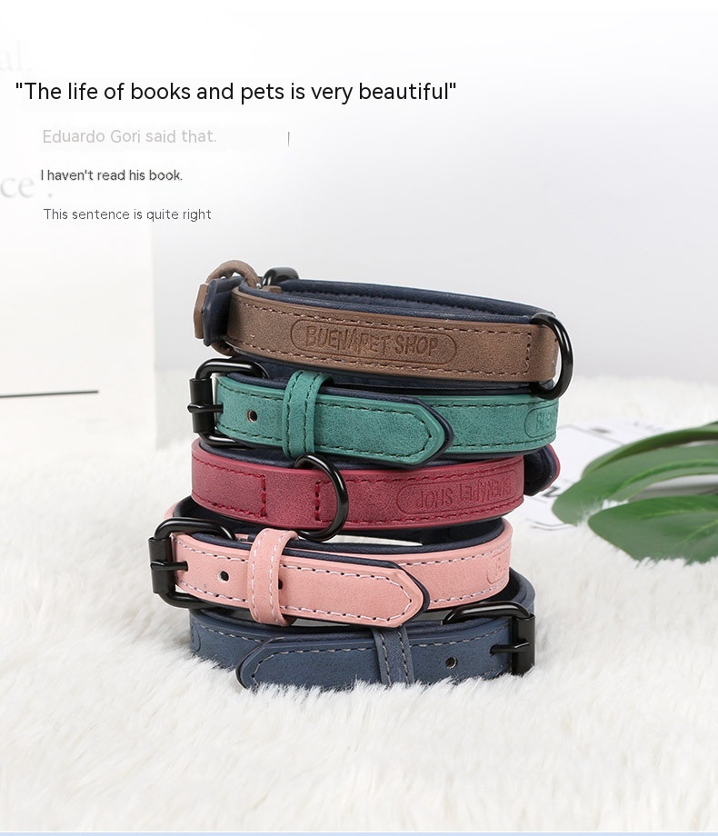 Pet Collar Image 6