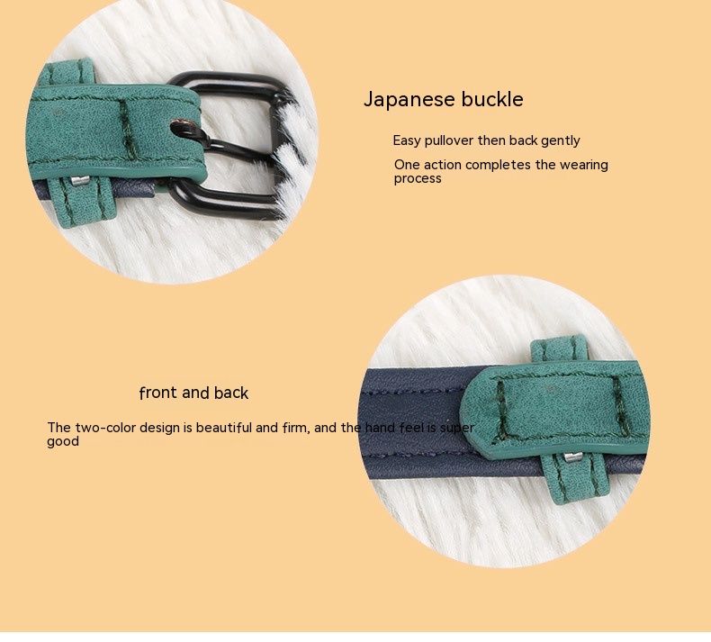 Pet Collar Image 7