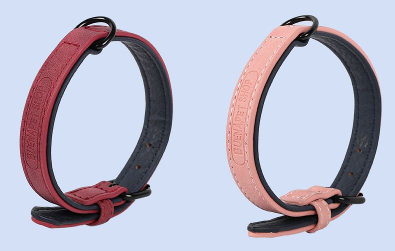 Pet Collar Image 4