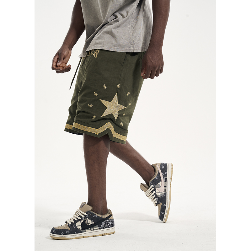 Cashew Flower Gold Embroidery Shorts - Detail View