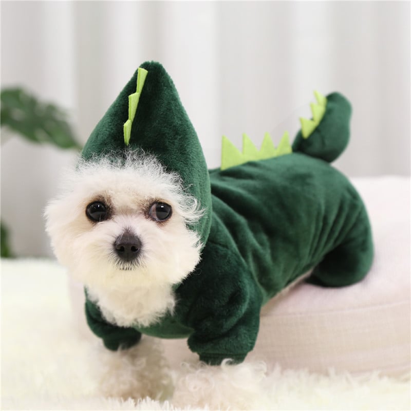 Pet Dinosaur Costume