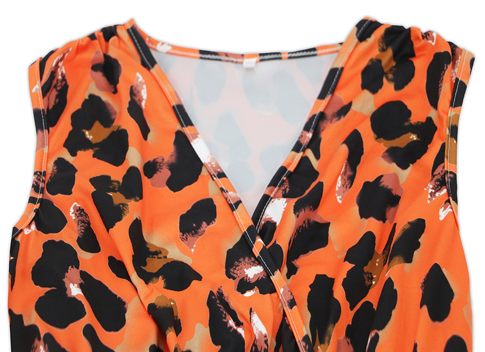 Leopard Print Long Dress