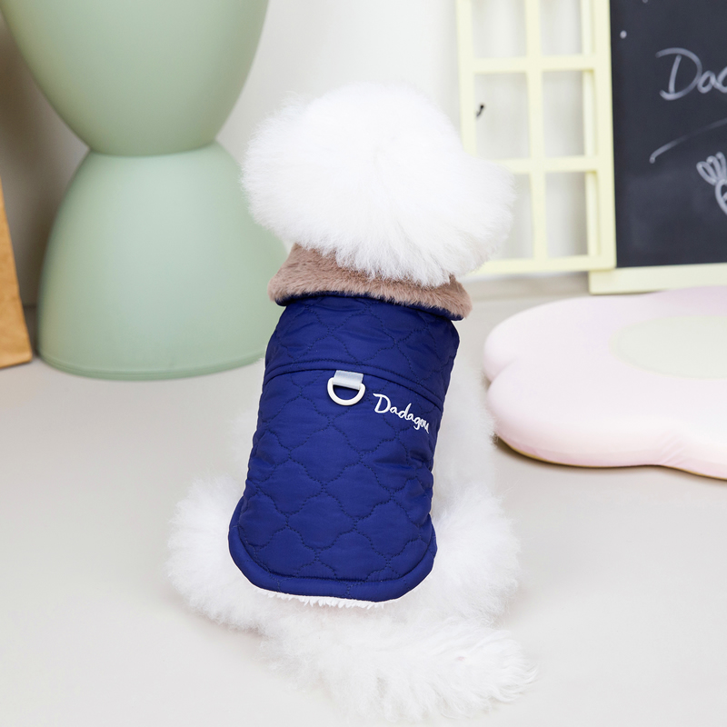 Small Dog in Vest