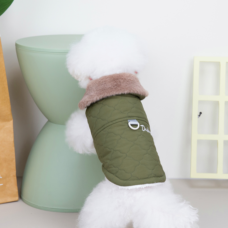 Cute Dog in Coat