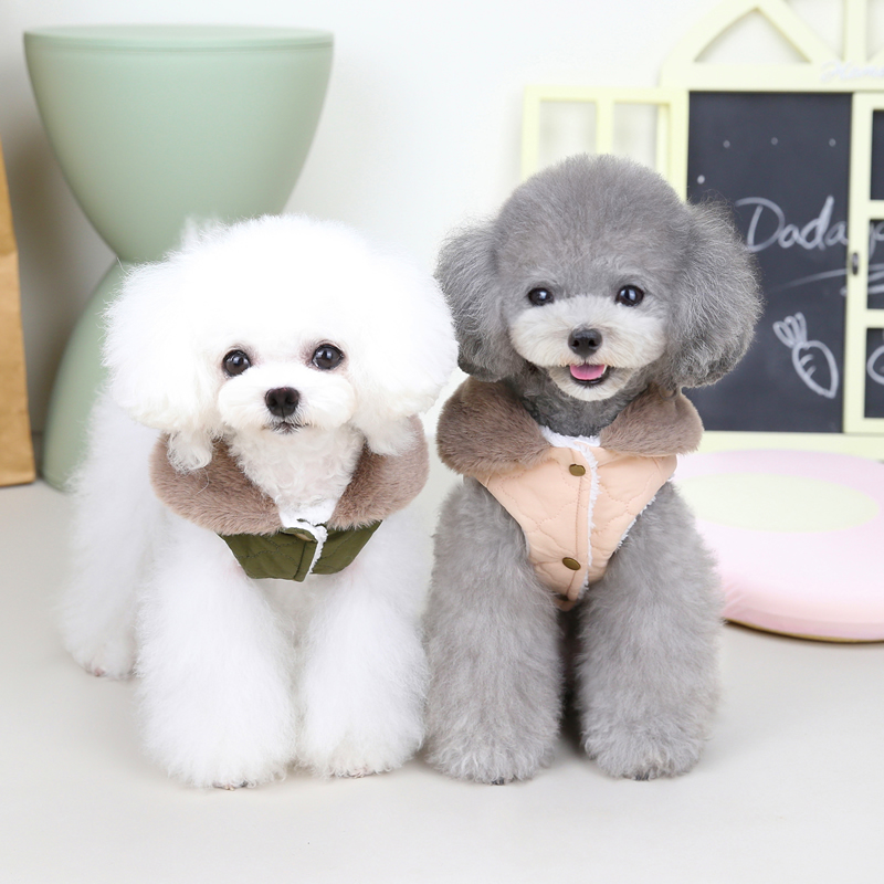 Pet in Warm Vest