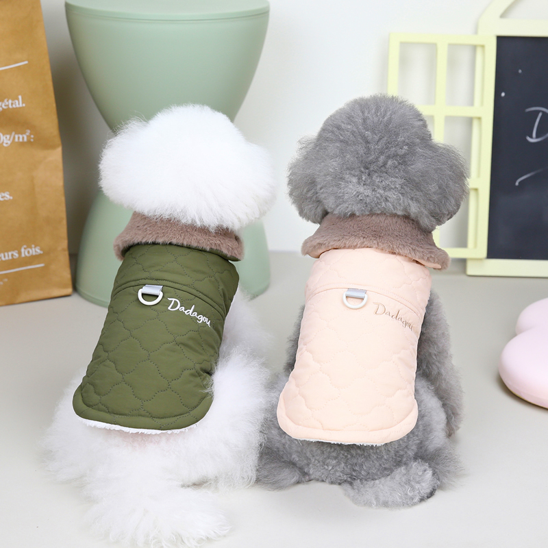 Dog Wearing Vest