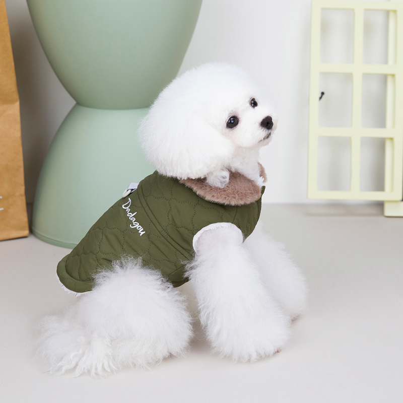 Dog Modeling Vest