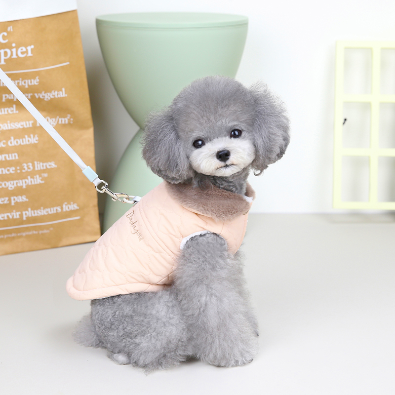 Dog in Cozy Vest