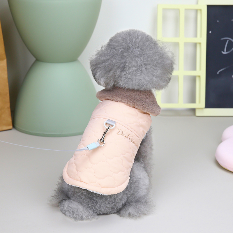 Dog in Stylish Coat