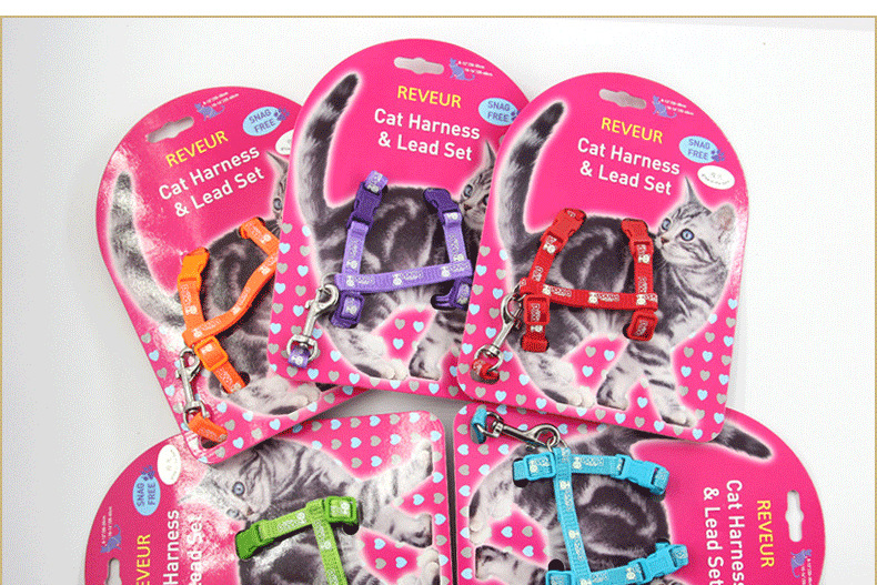 Cat Chest Strap 1