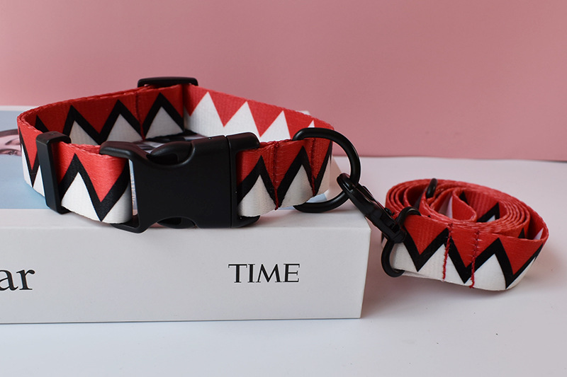 Ethnic Style Pet Collar 4