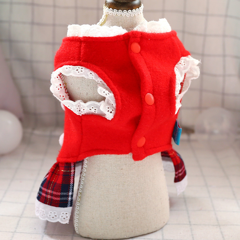 Dog in festive attire