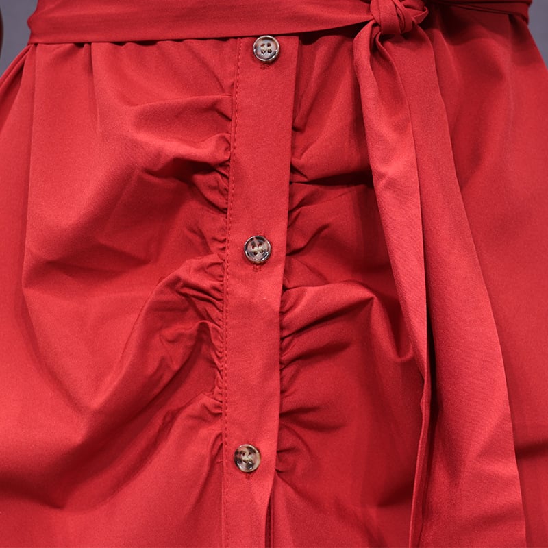 Lady's Dress in Action 5