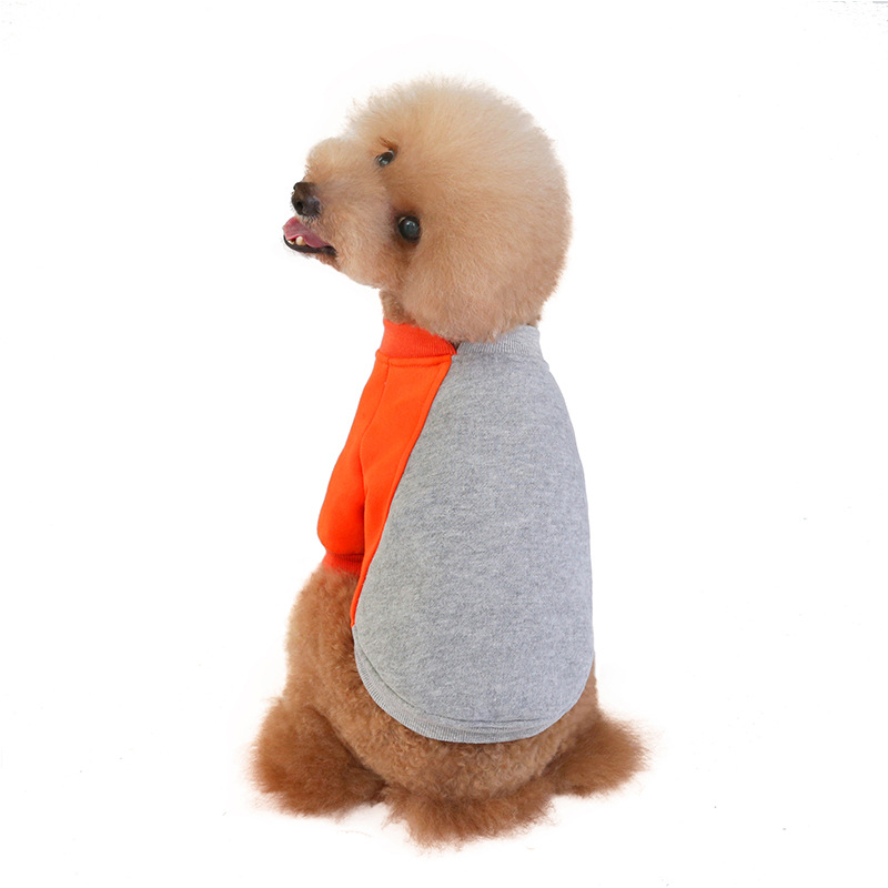 Pet Sweater in Action