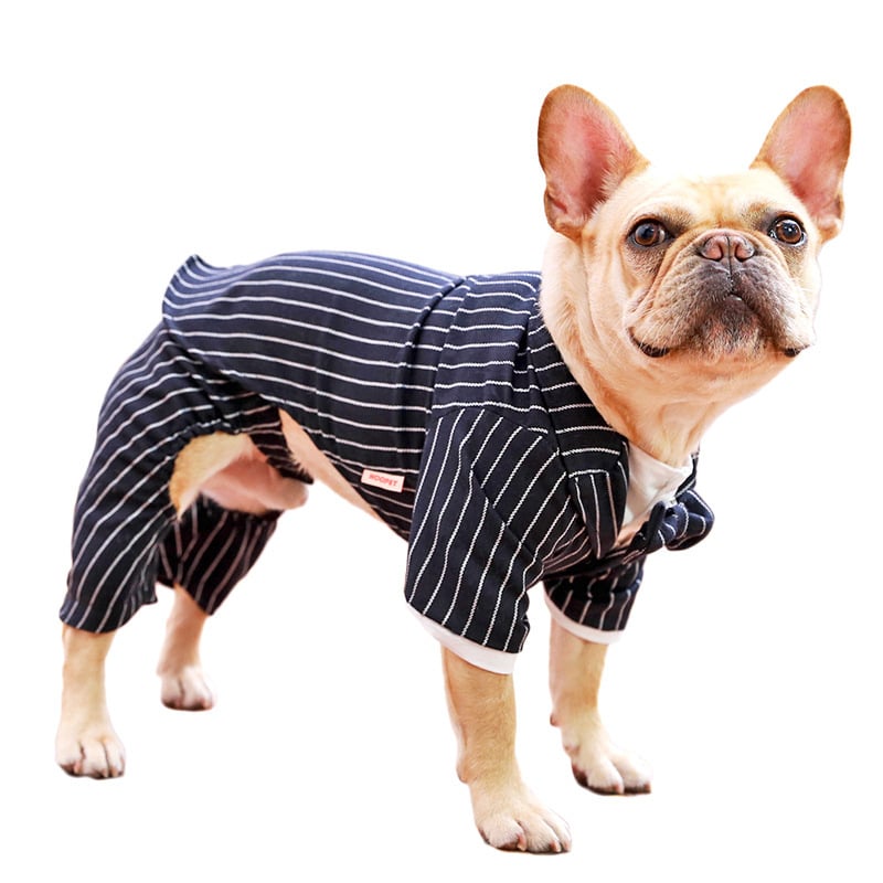 Puppy in Suit Dress