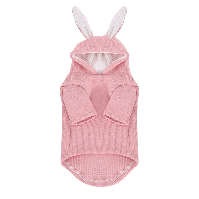 Cute Rabbit Sweater on a dog