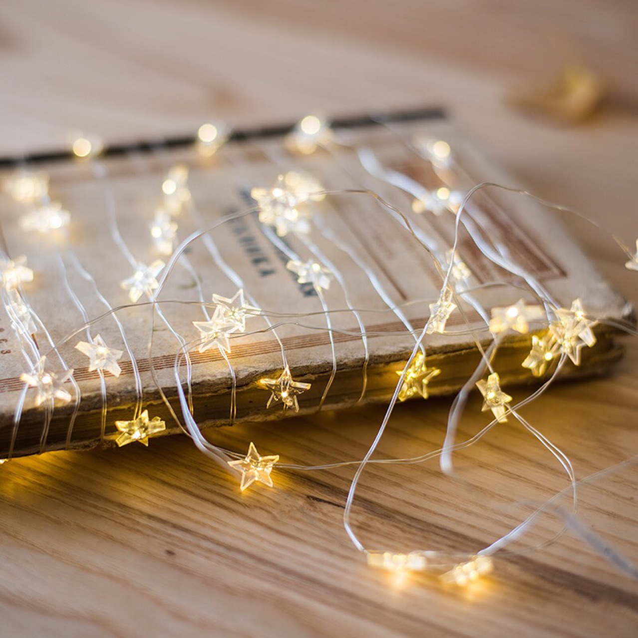 LED Copper Wire Lighting 5
