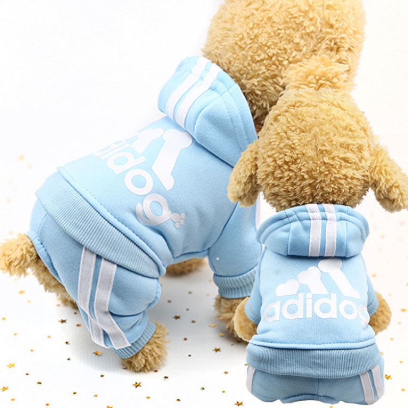 Cute Dog Outfit 1