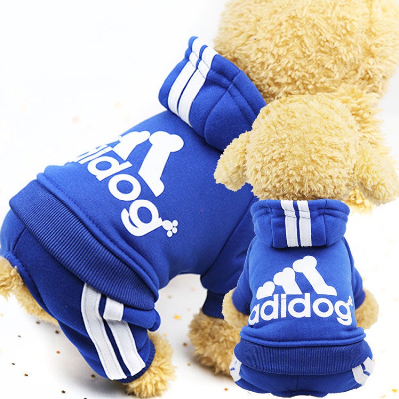 Cute Dog Outfit 2