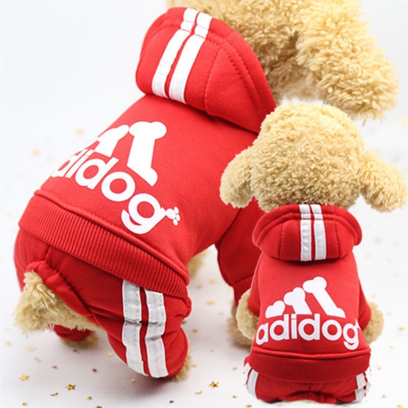 Cute Dog Outfit 3