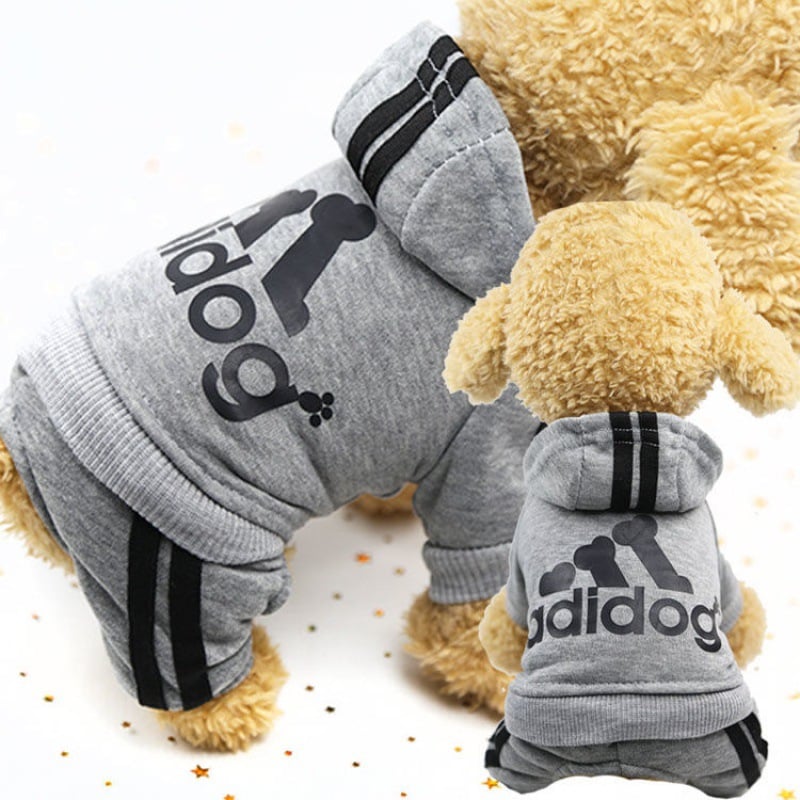 Cute Dog Outfit 4