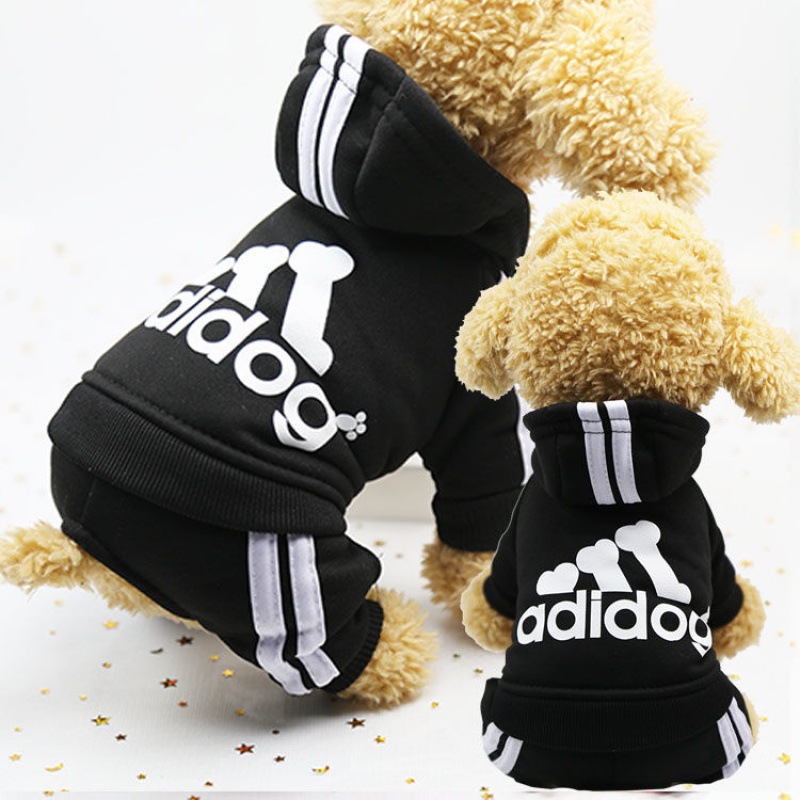 Cute Dog Outfit 6