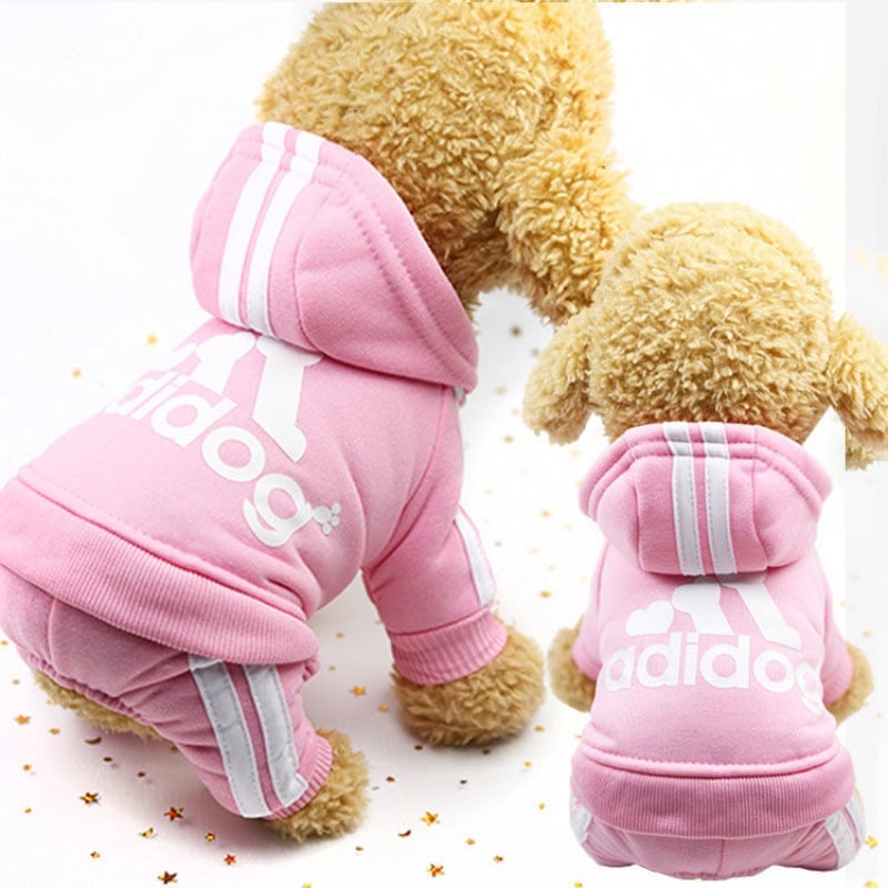 Cute Dog Outfit 5