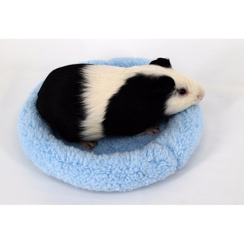 Small Pet Mat