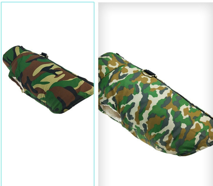 Pet Dog in Camouflage Coat