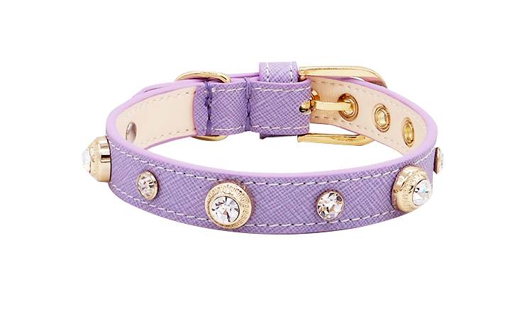 Leather Pet Collar 2