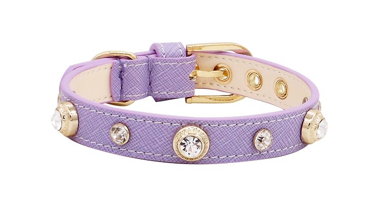 Leather Pet Collar 1