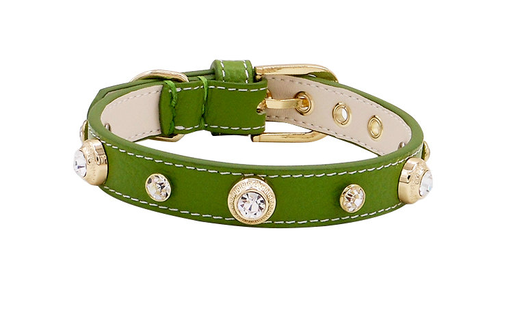 Leather Pet Collar 13
